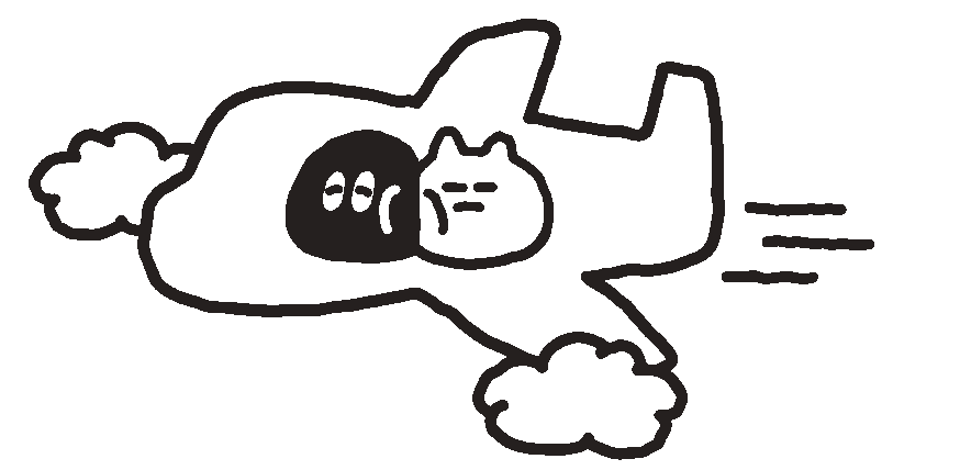Flying Plane Icon